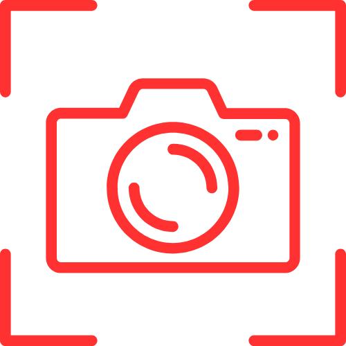 Vivid Pornography